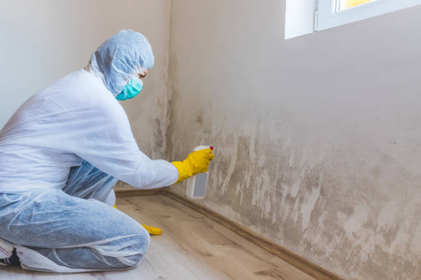 Crawl Space Mold Remediation treatment of floor joists in Warrington
