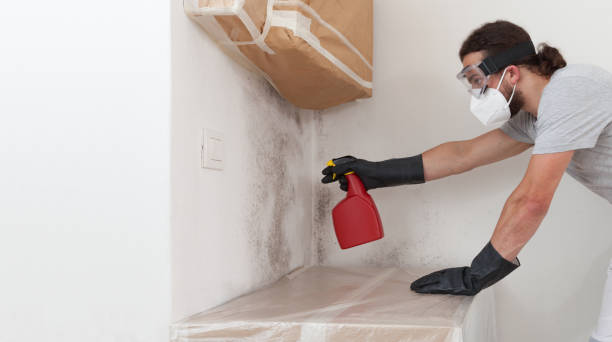 Attic Mold Remediation treatment on roof deck in Warrington
